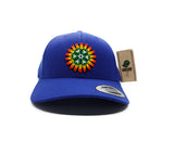 Hikuri Cap Azul Rey Curva - Peyote y Sol